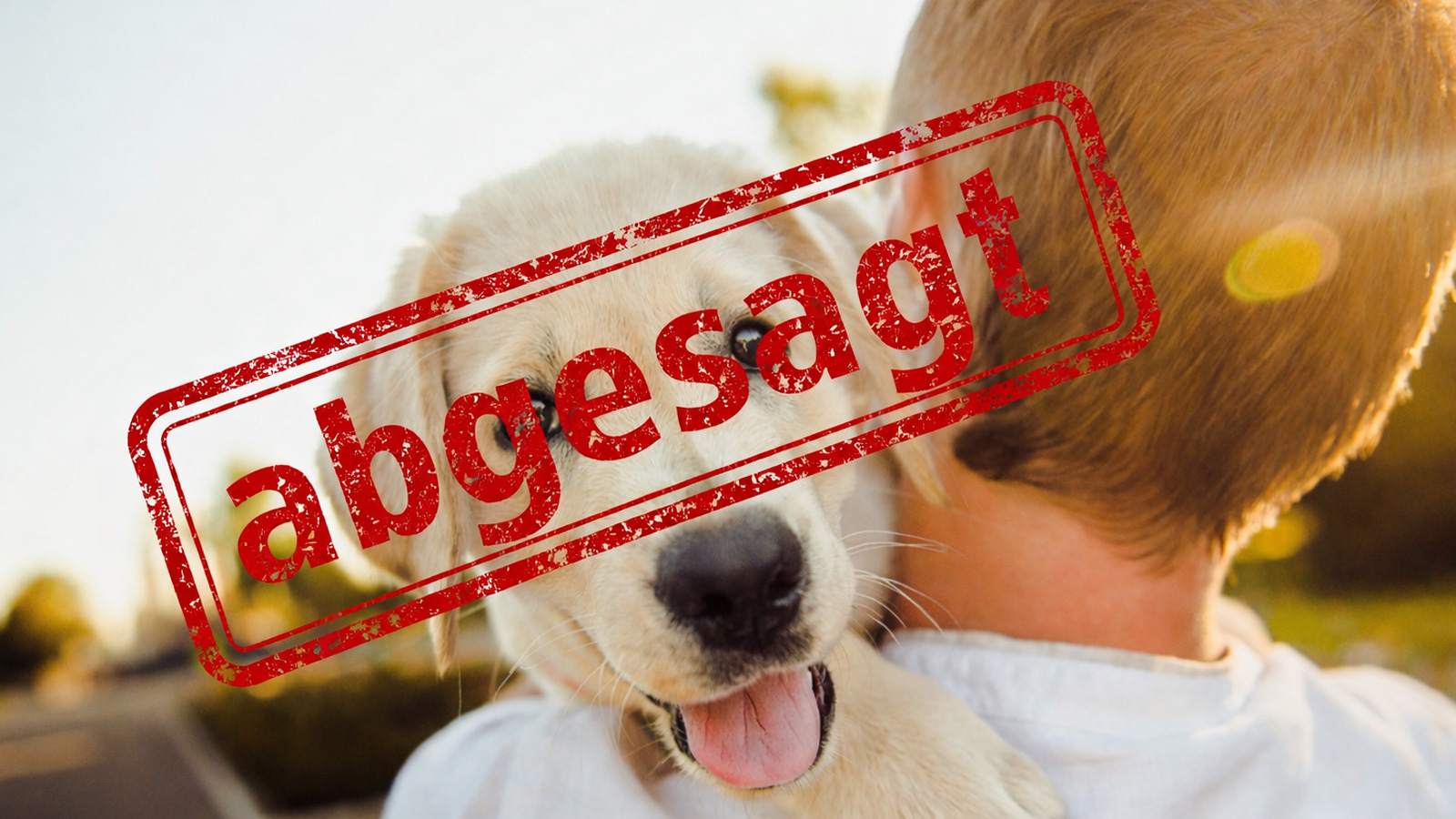 Tierschutz Holzminden-Höxter sagt „Tanz in den Mai“ ab – zu geringe Ticketnachfrage stoppt Benefizabend