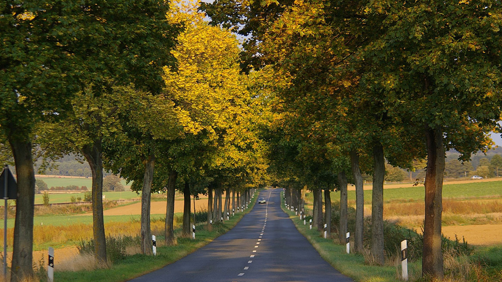 Schloss Bevern präsentiert „Land der Alleen“ mit 2000 dokumentierten Alleen aus Niedersachsen